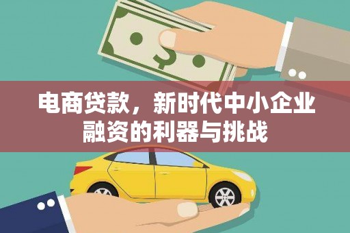 隆安电商贷款，新时代中小企业融资的利器与挑战