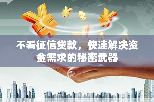 隆安不看征信贷款，快速解决资金需求的秘密武器