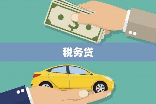 渠县税务贷