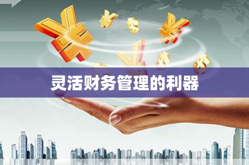 雨山灵活财务管理的利器