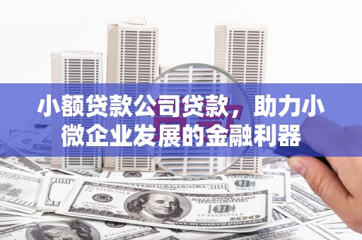 桃园小额贷款公司贷款，助力小微企业发展的金融利器