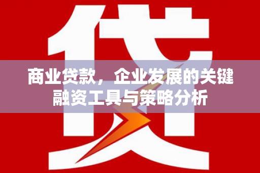 鹿谷商业贷款，企业发展的关键融资工具与策略分析