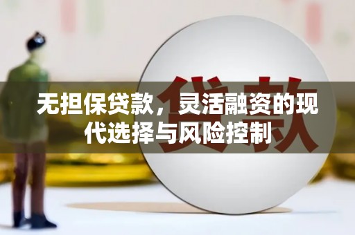 鹿谷无担保贷款，灵活融资的现代选择与风险控制