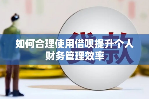 佛冈如何合理使用借呗提升个人财务管理效率