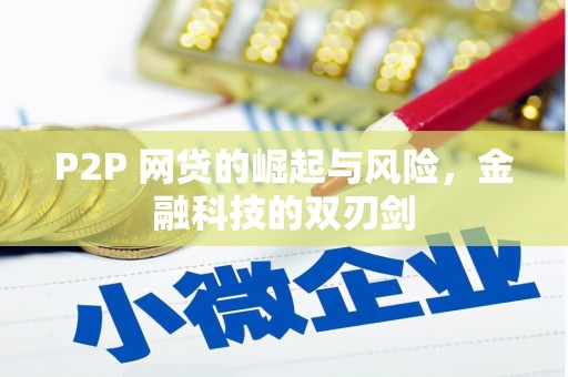 安居P2P 网贷的崛起与风险，金融科技的双刃剑