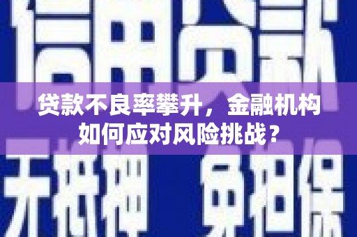 阳新贷款不良率攀升，金融机构如何应对风险挑战？