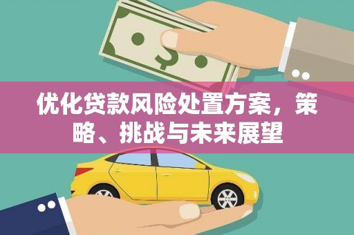 阳新优化贷款风险处置方案，策略、挑战与未来展望