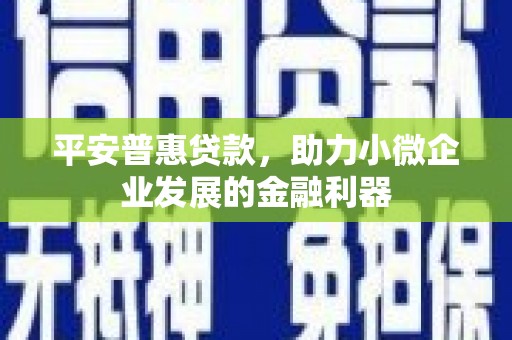 泗水平安普惠贷款，助力小微企业发展的金融利器