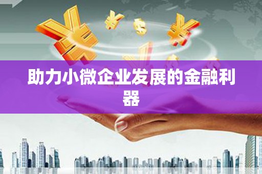 武江助力小微企业发展的金融利器
