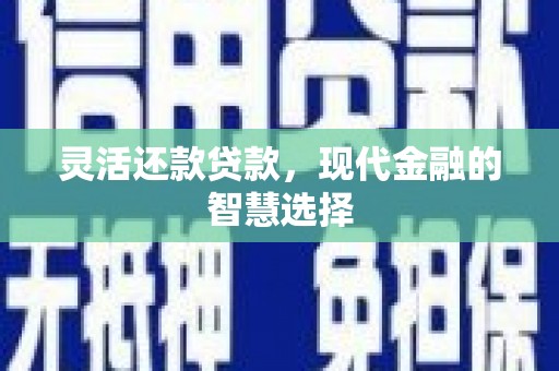 多伦灵活还款贷款，现代金融的智慧选择