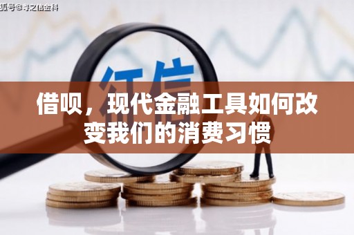 多伦借呗，现代金融工具如何改变我们的消费习惯