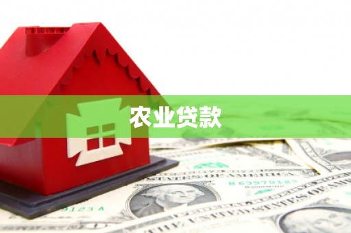 南阳农业贷款