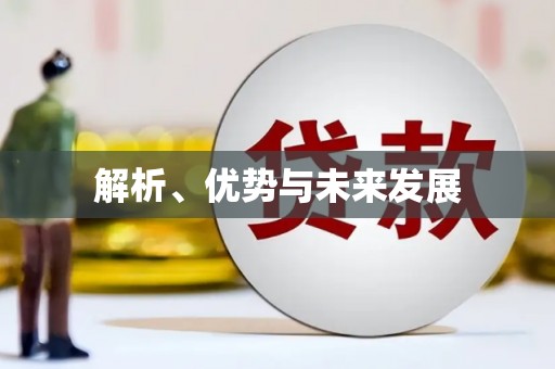 雨山解析、优势与未来发展