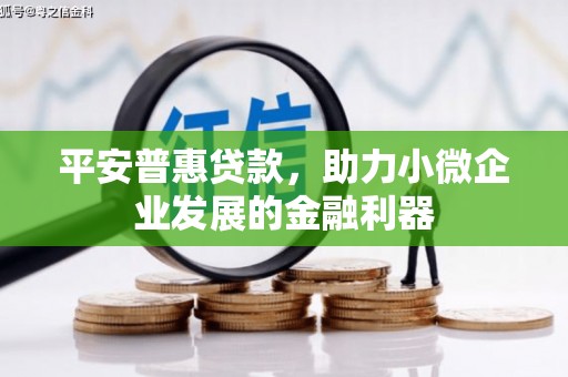 兰州平安普惠贷款，助力小微企业发展的金融利器