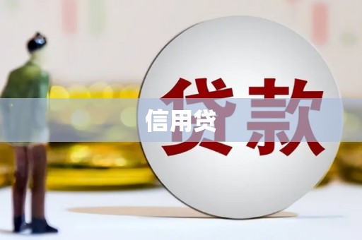茂南信用贷