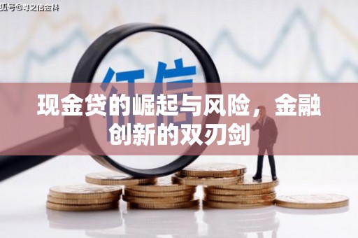茂南现金贷的崛起与风险，金融创新的双刃剑