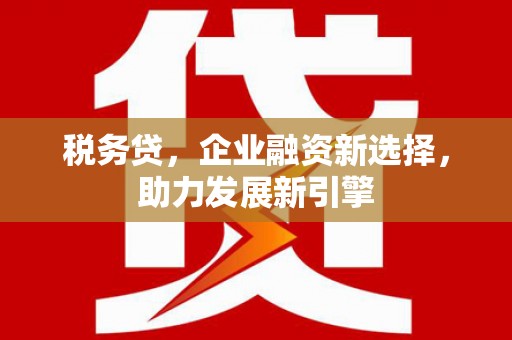 黑河税务贷，企业融资新选择，助力发展新引擎