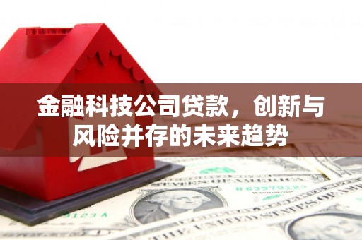 达坂城金融科技公司贷款，创新与风险并存的未来趋势