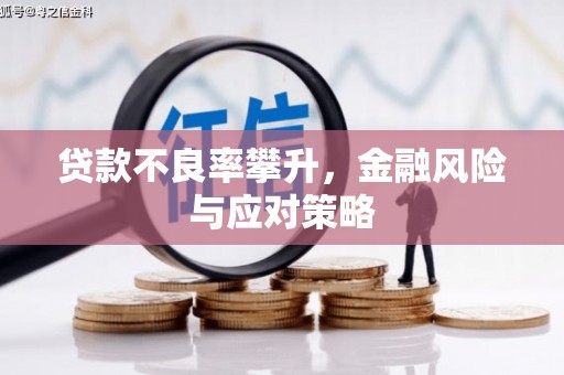 虾峙贷款不良率攀升，金融风险与应对策略