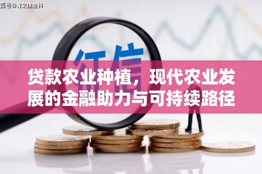 和平贷款农业种植，现代农业发展的金融助力与可持续路径