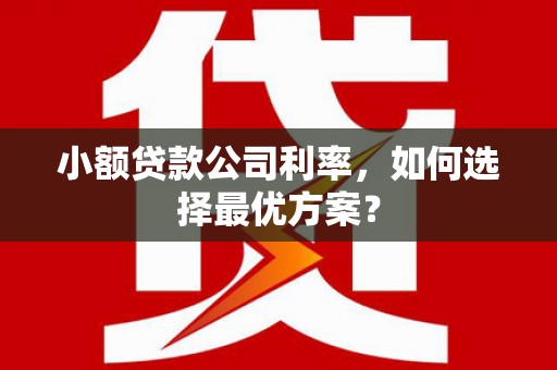 清苑小额贷款公司利率，如何选择最优方案？