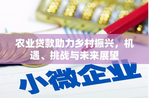 云林农业贷款助力乡村振兴，机遇、挑战与未来展望