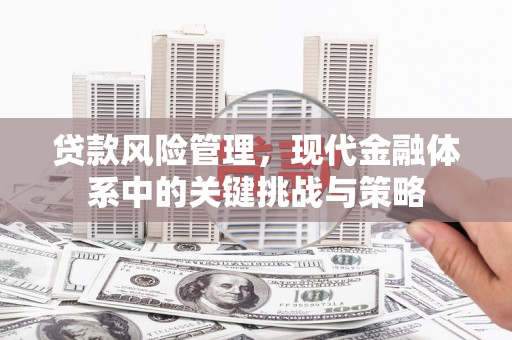 盘县贷款风险管理，现代金融体系中的关键挑战与策略