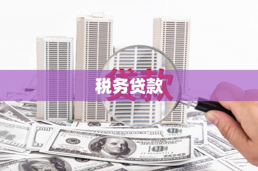 龙潭税务贷款