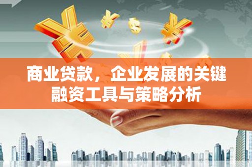 三亚商业贷款，企业发展的关键融资工具与策略分析