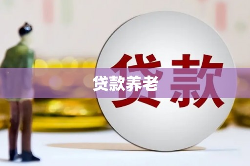 民勤贷款养老