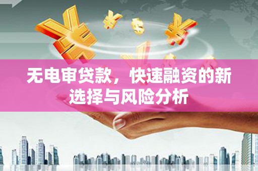 民勤无电审贷款，快速融资的新选择与风险分析