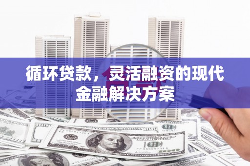 扎鲁特旗循环贷款，灵活融资的现代金融解决方案
