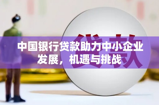 板桥中国银行贷款助力中小企业发展，机遇与挑战
