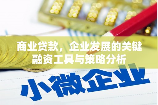 板桥商业贷款，企业发展的关键融资工具与策略分析