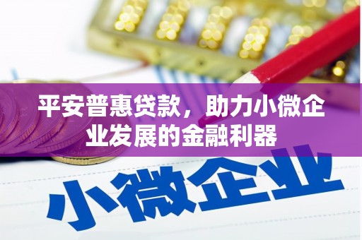 木垒平安普惠贷款，助力小微企业发展的金融利器