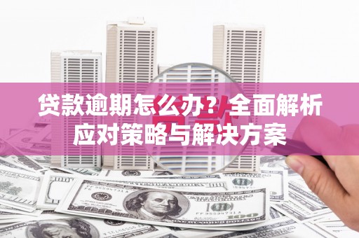 赛罕贷款逾期怎么办？全面解析应对策略与解决方案