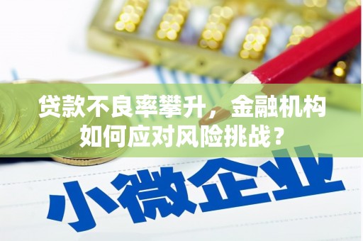 赛罕贷款不良率攀升，金融机构如何应对风险挑战？