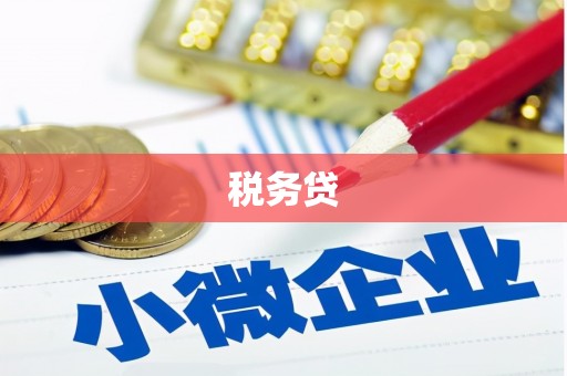 彝良税务贷