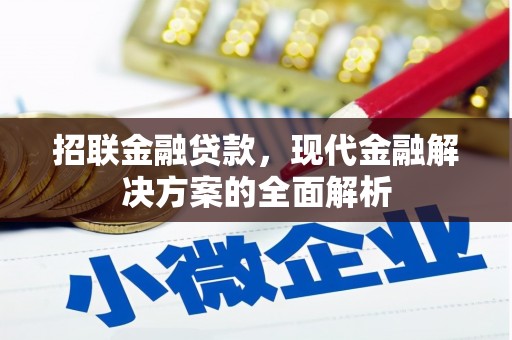 丹凤招联金融贷款，现代金融解决方案的全面解析