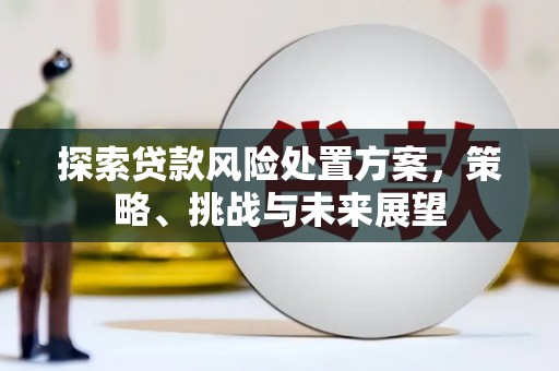 长城探索贷款风险处置方案，策略、挑战与未来展望
