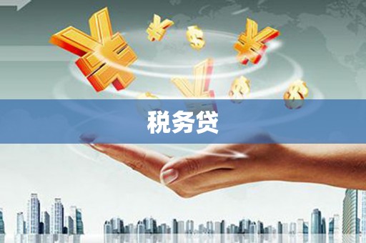 依安税务贷
