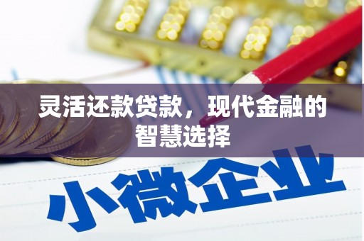 和田县灵活还款贷款，现代金融的智慧选择