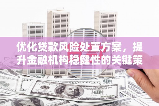 大堂优化贷款风险处置方案，提升金融机构稳健性的关键策略