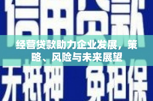 嘉义经营贷款助力企业发展，策略、风险与未来展望