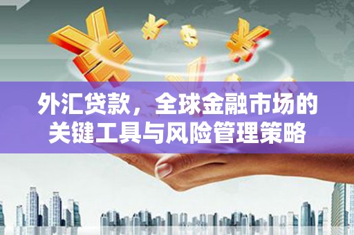 青县外汇贷款，全球金融市场的关键工具与风险管理策略