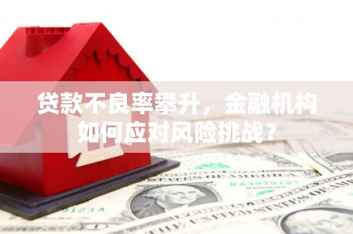 巴音郭楞贷款不良率攀升，金融机构如何应对风险挑战？