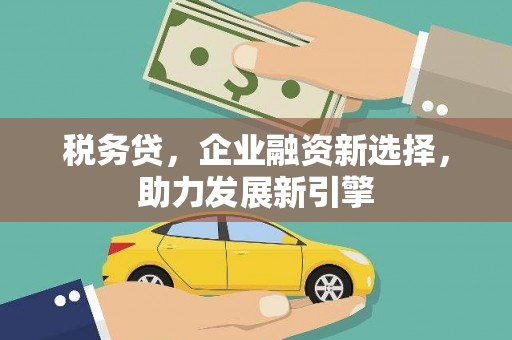 格尔木税务贷，企业融资新选择，助力发展新引擎