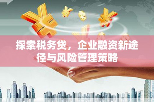 晋源探索税务贷，企业融资新途径与风险管理策略