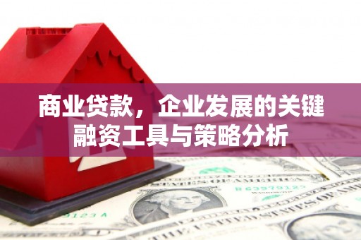 祁阳商业贷款，企业发展的关键融资工具与策略分析
