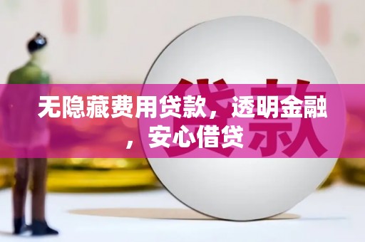 八宿无隐藏费用贷款，透明金融，安心借贷